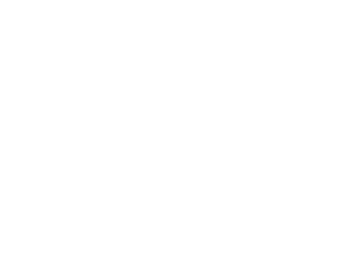 AAN 4 ALL